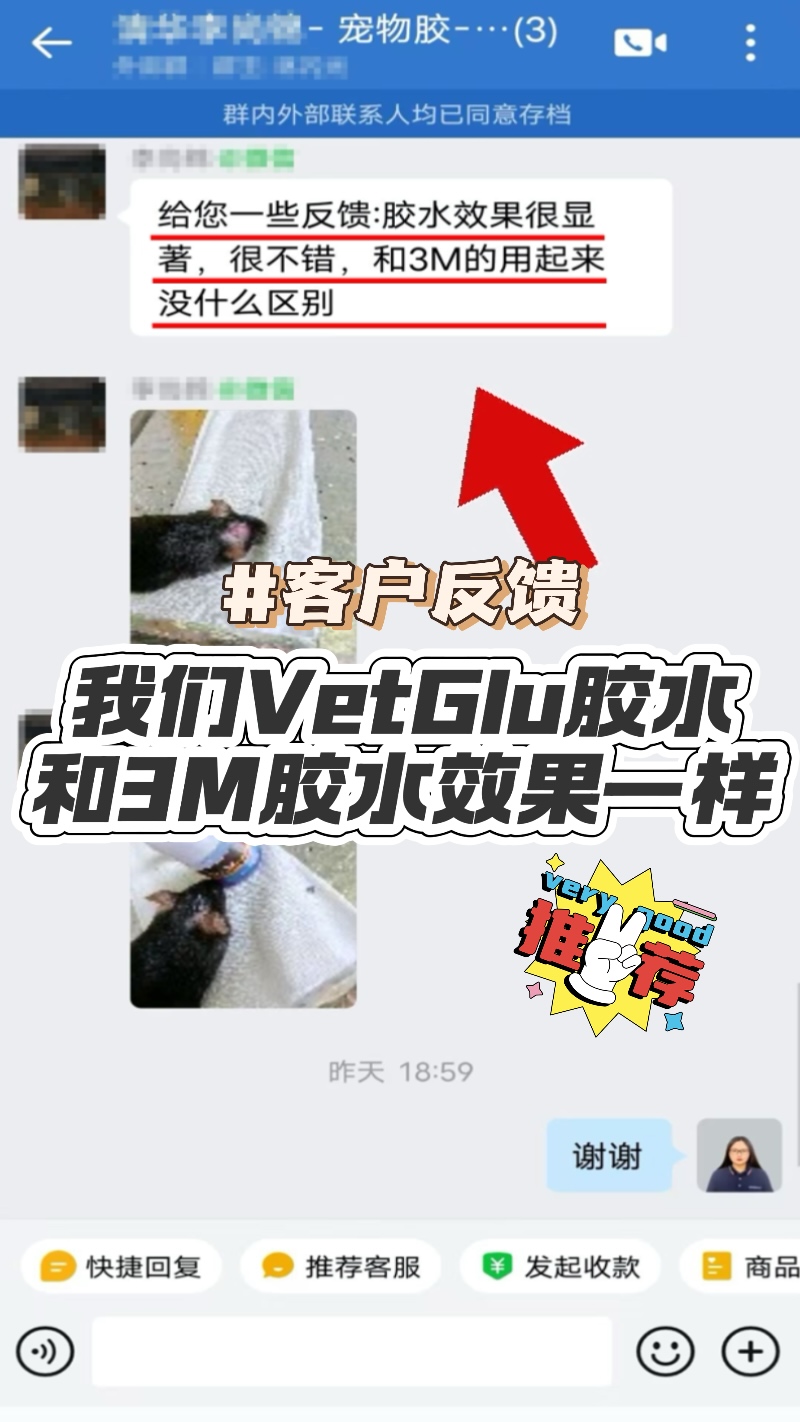 真实用户分享 | VteGlu宠物组织胶水使用效果反馈