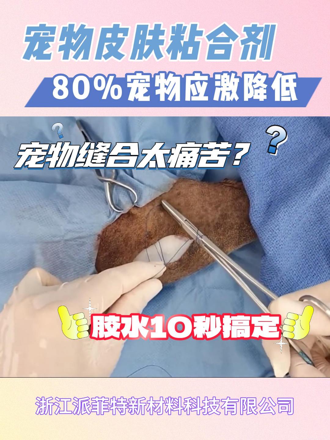 告别宠物缝合应激难题！VetGlu无痛闭合技术让毛孩子轻松康复