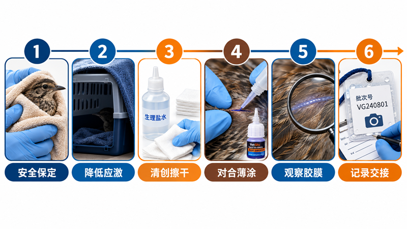 现场操作要点示意图.png
