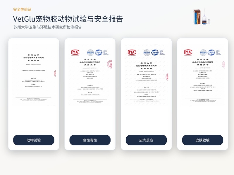 安全报告.jpg